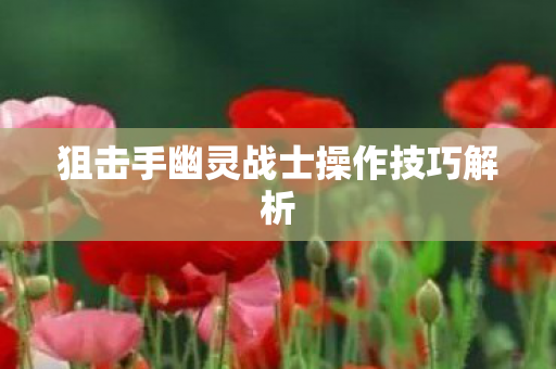 狙击手幽灵战士操作技巧解析图片