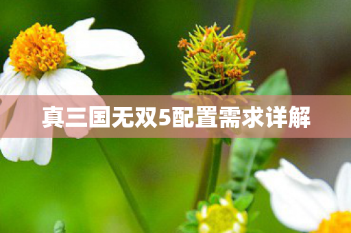 真三国无双5配置需求详解图片