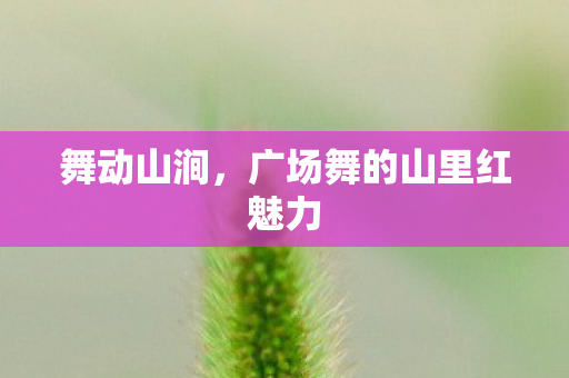 广场舞的山里红魅力图片