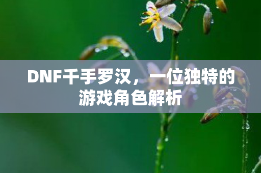 一位独特的游戏角色解析图片