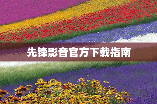 先锋影音官方下载指南图片