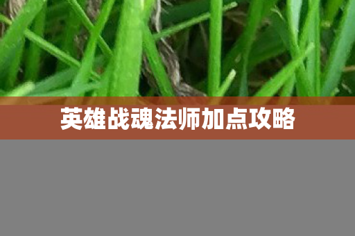 英雄战魂法师加点攻略图片