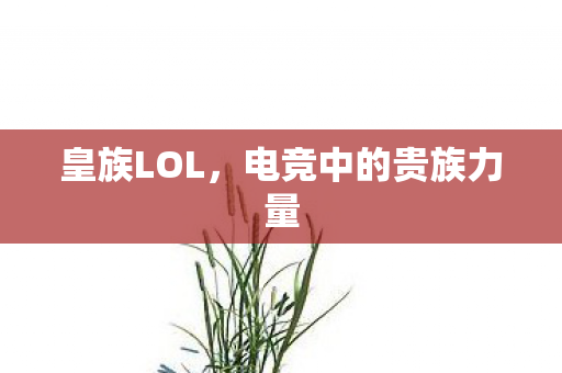 电竞中的贵族力量图片