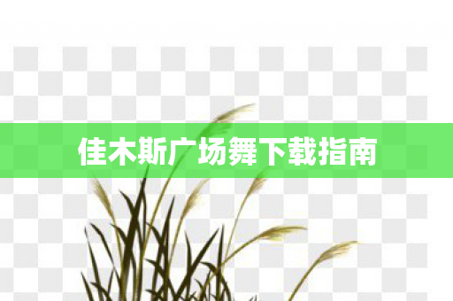 佳木斯广场舞下载指南图片