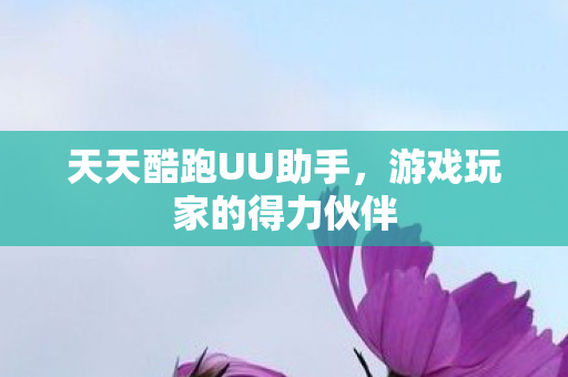 游戏玩家的得力伙伴图片