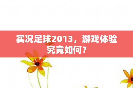 实况足球2013图片