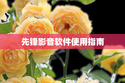 先锋影音软件使用指南图片