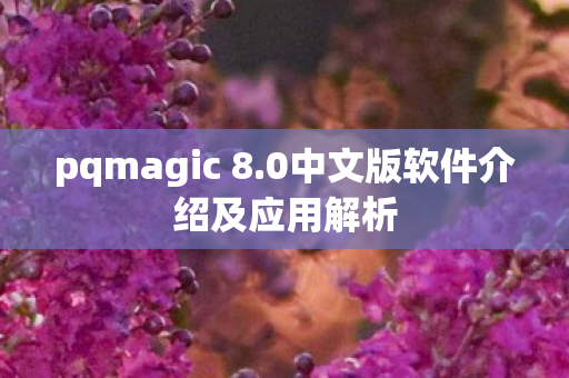 0中文版软件介绍及应用解析图片