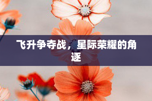星际荣耀的角逐图片