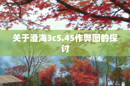 45作弊图的探讨图片