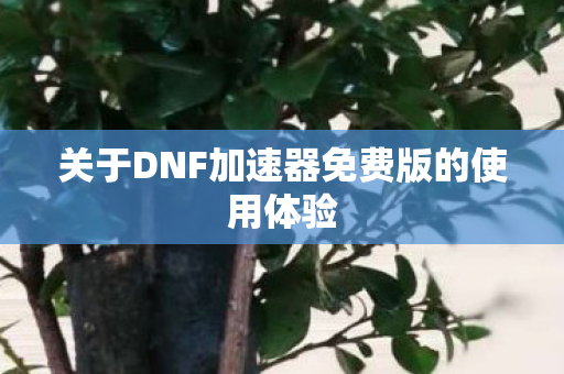 关于DNF加速器免费版的使用体验图片