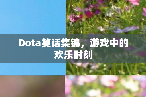 Dota笑话集锦图片
