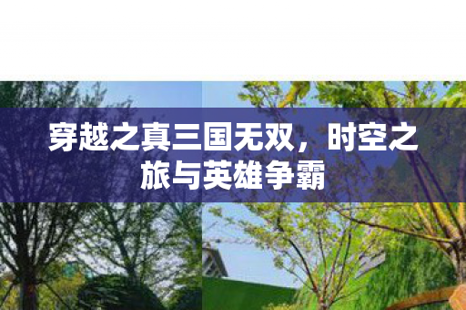 时空之旅与英雄争霸图片