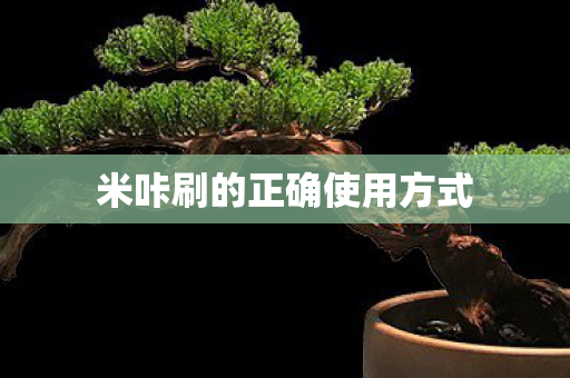 米咔刷的正确使用方式图片
