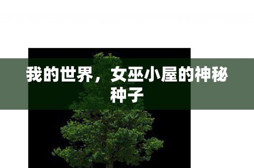 女巫小屋的神秘种子图片