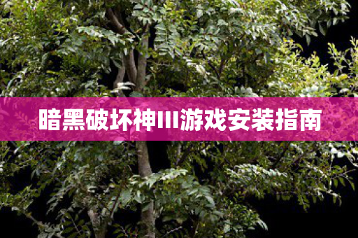 暗黑破坏神III游戏安装指南图片