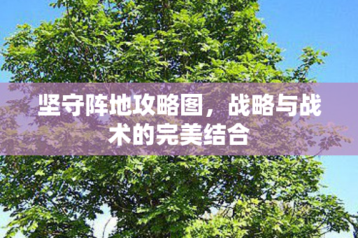 战略与战术的完美结合图片