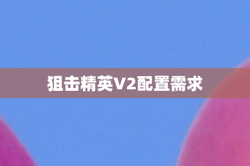 狙击精英V2配置需求图片