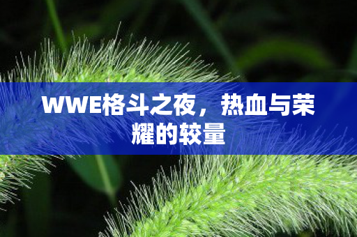 热血与荣耀的较量图片