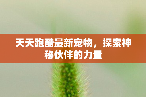 探索神秘伙伴的力量图片