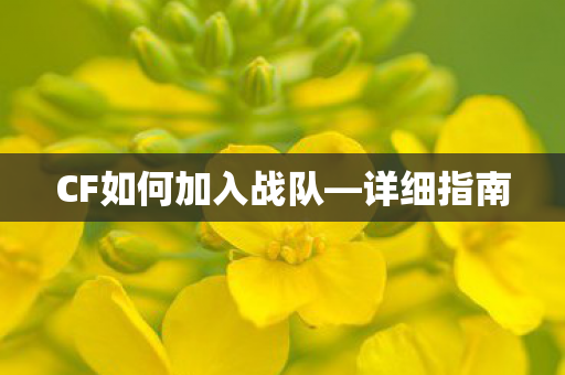 CF如何加入战队图片