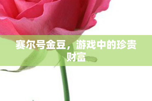 游戏中的珍贵财富图片