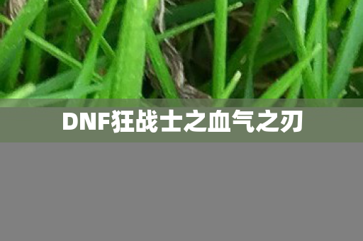 DNF狂战士之血气之刃图片