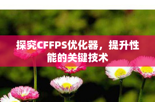 探究CFFPS优化器图片
