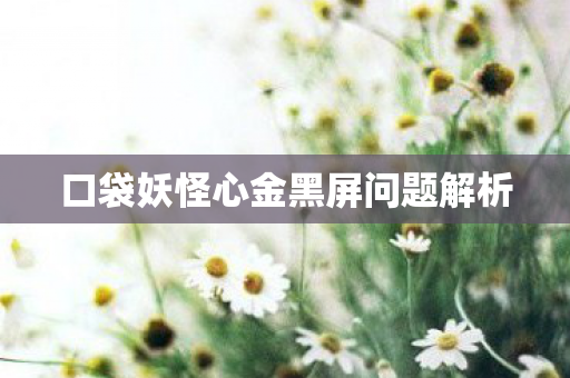 口袋妖怪心金黑屏问题解析图片