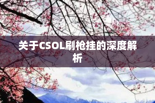 关于CSOL刷枪挂的深度解析图片