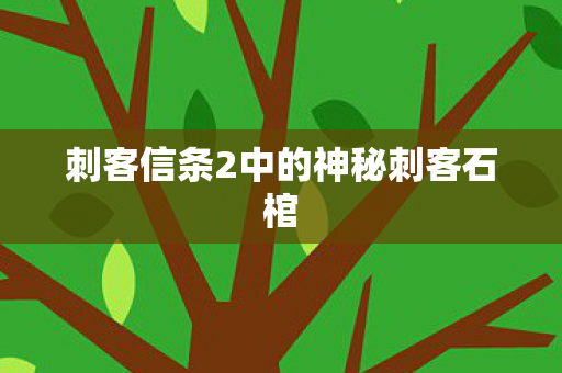 刺客信条2中的神秘刺客石棺图片