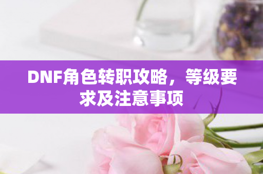 DNF角色转职攻略图片