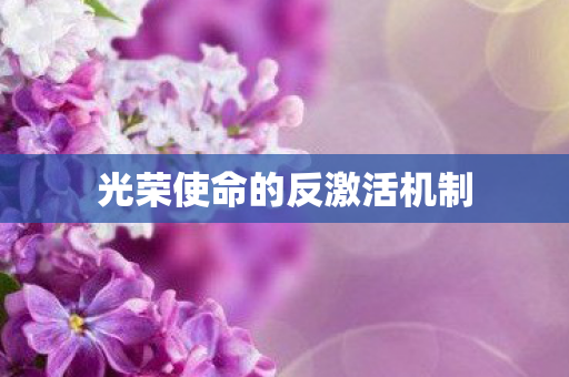 光荣使命的反激活机制图片