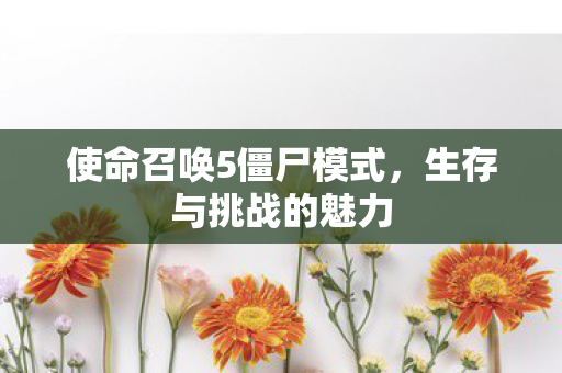 使命召唤5僵尸模式图片