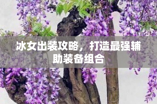 打造最强辅助装备组合图片