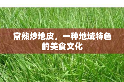 一种地域特色的美食文化图片