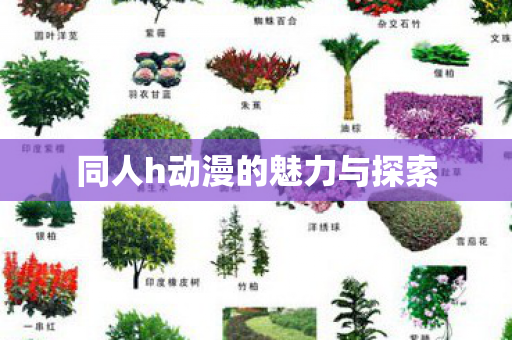 同人h动漫的魅力与探索图片