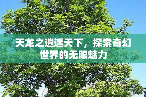 探索奇幻世界的无限魅力图片