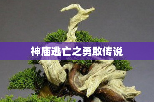 神庙逃亡之勇敢传说图片