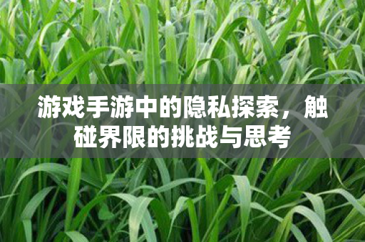 游戏手游中的隐私探索图片