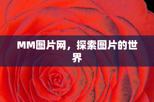 探索图片的世界图片