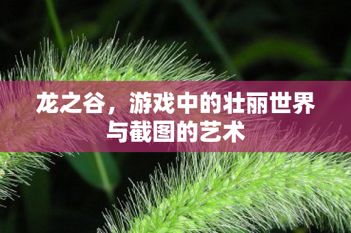 游戏中的壮丽世界与截图的艺术图片