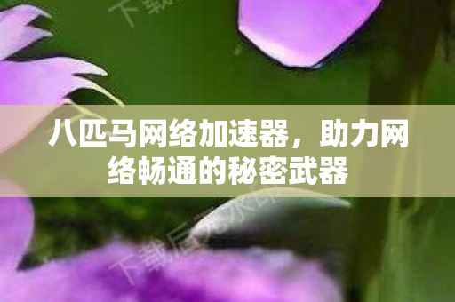 助力网络畅通的秘密武器图片