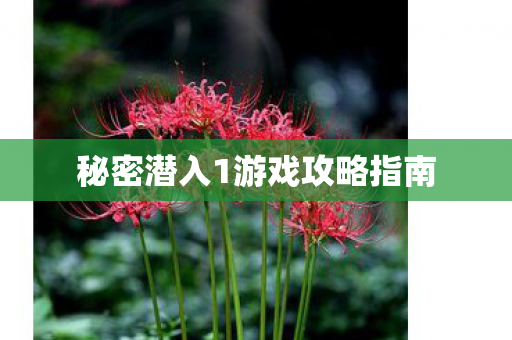 秘密潜入1游戏攻略指南图片