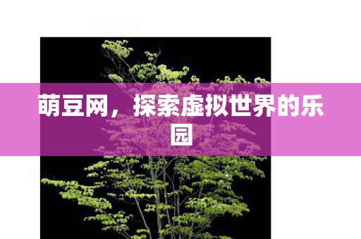 探索虚拟世界的乐园图片
