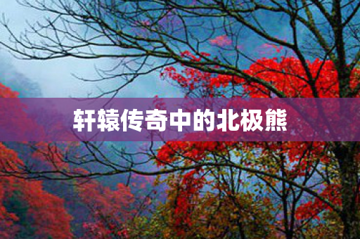 轩辕传奇中的北极熊图片