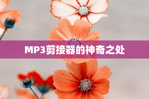 MP3剪接器的神奇之处图片