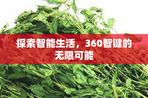 360智键的无限可能图片