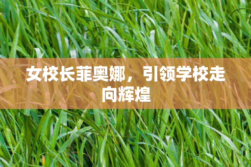 引领学校走向辉煌图片