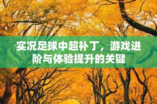 游戏进阶与体验提升的关键图片